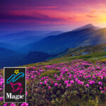 Dietzgen Magic TORINO17M Canvas